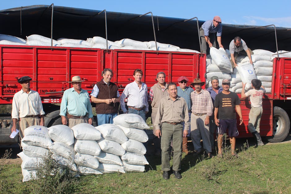 Formación del equipo de campo en prácticas de agricultura ecológica