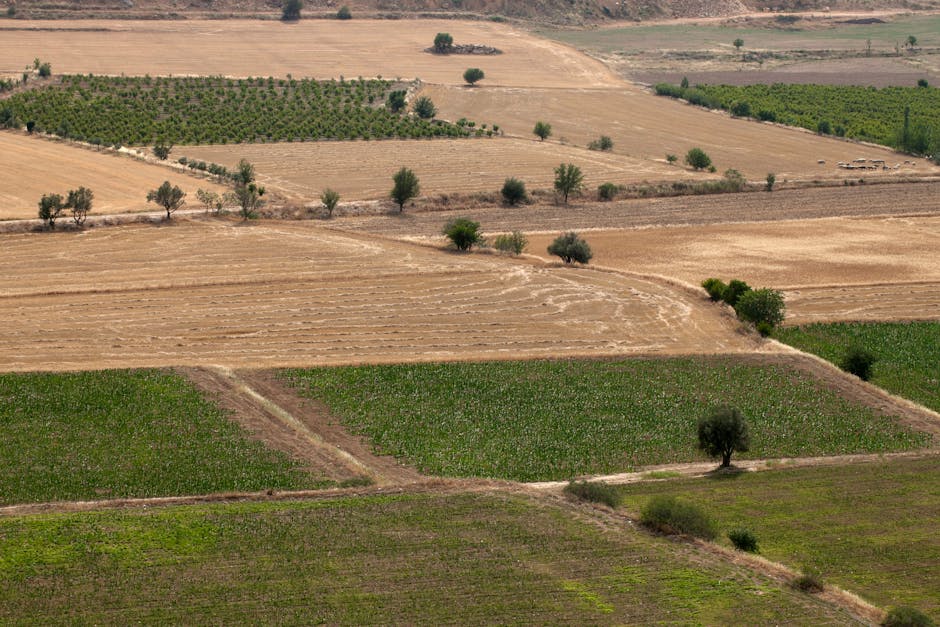 Elaboración del plan de transición a agricultura ecológica