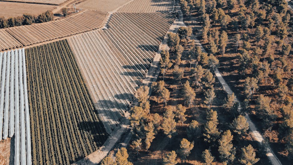 Visita técnica a finca para diagnóstico de certificación ecológica